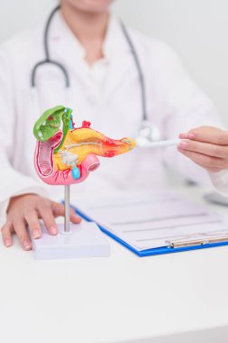 Pankreas, safra kesesi, Bile Kanalı, Duodenum, ince bağırsak için yaşlı hasta muayenesi. Pankreas kanseri, Akut ve Kronik pankreas iltihabı, sindirim sistemi ve sağlık hizmetleri