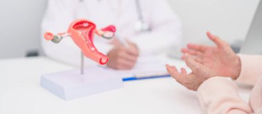Anatomi rahim ve yumurtalıkları olan kadın hasta danışmanı. Yumurtalık ve rahim ağzı kanseri, rahim ağzı bozukluğu, endometriyozis, histerektomi, rahim fibroidi, üreme sistemi ve hamilelik konsepti.