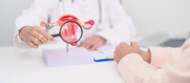 Anatomi rahim ve yumurtalıkları olan kadın hasta danışmanı. Yumurtalık ve rahim ağzı kanseri, rahim ağzı bozukluğu, endometriyozis, histerektomi, rahim fibroidi, üreme sistemi ve hamilelik konsepti.