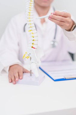 Omurga anatomisi, bel ağrısı, bel ağrısı, Lumbar, Sacral leğen kemiği, boyun, Thoracic, Coccyx, ortopedist, kiropraktik, ofis sendromu için yaşlı hasta danışmanlığı