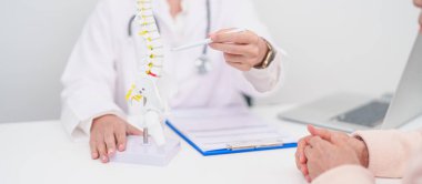 Omurga anatomisi, bel ağrısı, bel ağrısı, Lumbar, Sacral leğen kemiği, boyun, Thoracic, Coccyx, ortopedist, kiropraktik, ofis sendromu için yaşlı hasta danışmanlığı