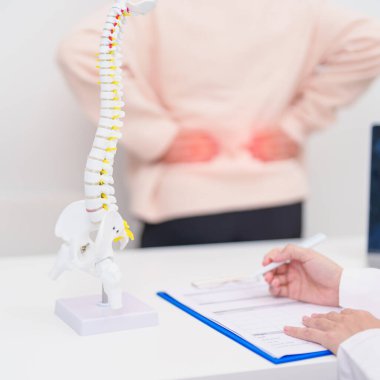 Omurga anatomisi, bel ağrısı, bel ağrısı, Lumbar, Sacral leğen kemiği, boyun, Thoracic, Coccyx, ortopedist, kiropraktik, ofis sendromu için yaşlı hasta danışmanlığı