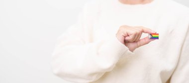 Mutlu gurur ayı ve LGBTQ ya da LGBTQIA Lezbiyen, Gay, Biseksüel, Transseksüel, Eşcinsel, Non İkili, Evlilik Eşitliği Yasası, Panseksüel ve Demiseksüel için Broş broşlu LGBTQIA