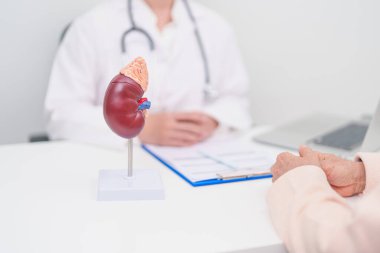 Böbrek hastalığı, idrar sistemi ve Taşlar, Kanser, Dünya Böbrek Günü, Kronik Böbrek, Üroloji, Nephritis, Böbrek, Organ Nakli ve Tıbbi Sağlık Konsepti