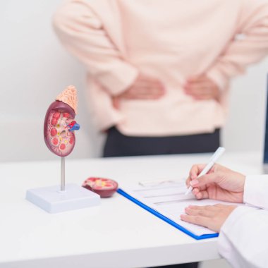 Böbrek hastalığı, idrar sistemi ve Taşlar, Kanser, Dünya Böbrek Günü, Kronik Böbrek, Üroloji, Nephritis, Böbrek, Organ Nakli ve Tıbbi Sağlık Konsepti