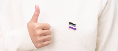 Uluslararası Aseksüellik Nisan Günü ve Mutlu Gururlu Haziran ayı ve LGBTQIA 'nın LGBTQ, Evlilik Eşitliği Yasası, Panseksüel, Demiseksüel ve transseksüel bayrak broşu 