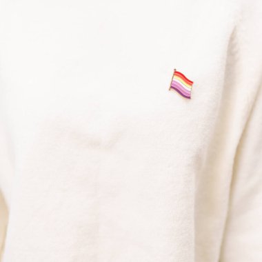 Uluslararası Lezbiyen Ekim Günü, Lezbiyen Görünürlüğü Nisan Günü ve Mutlu Gururlu Haziran ayı ve LGBTQIA 'nın LGBTQ, Evlilik Eşitliği Kanunu, Panseksüel, Yarı cinsiyet ve transseksüel broşu 