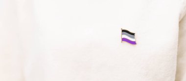 Uluslararası Aseksüellik Nisan Günü ve Mutlu Gururlu Haziran ayı ve LGBTQIA 'nın LGBTQ, Evlilik Eşitliği Yasası, Panseksüel, Demiseksüel ve transseksüel bayrak broşu 