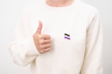 Uluslararası Aseksüellik Nisan Günü ve Mutlu Gururlu Haziran ayı ve LGBTQIA 'nın LGBTQ, Evlilik Eşitliği Yasası, Panseksüel, Demiseksüel ve transseksüel bayrak broşu 