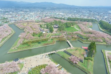 Hakodate City, Hokkaido bölgesindeki Goryokaku Kulesi 'nden ilkbahar mevsiminde güzel Sakura Kiraz Çiçeği. Hokkaido, Japonya 'da turistler için dönüm noktası 