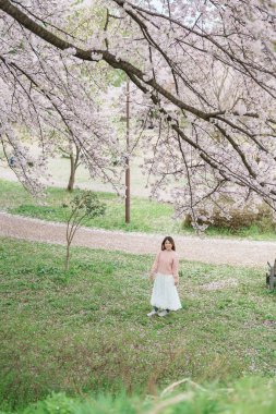 Kajo Park Yamagata Kalesi 'ni gezen turist, ilkbaharda Sakura Kiraz Çiçeği ile birlikte harabeleri gezen mutlu gezgin Yamagata, Tohoku, Japonya' ya seyahat ediyor. Meşhur Seyahat ve Tatil Tarihi 