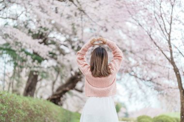 Kajo Park Yamagata Kalesi 'ni gezen turist, ilkbaharda Sakura Kiraz Çiçeği ile birlikte harabeleri gezen mutlu gezgin Yamagata, Tohoku, Japonya' ya seyahat ediyor. Meşhur Seyahat ve Tatil Tarihi 