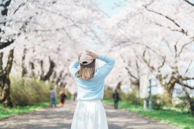Kitakami Tenshochi Parkı 'nı bahar aylarında Sakura Kiraz Çiçeği ile gezen bir kadın, Kitakami Festivali' nde seyahat eden gezgin, Iwate Bölgesi, Japonya. Seyahat ve Tatil için Dönüm Noktası 