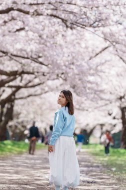 Kitakami Tenshochi Parkı 'nı bahar aylarında Sakura Kiraz Çiçeği ile gezen bir kadın, Kitakami Festivali' nde seyahat eden gezgin, Iwate Bölgesi, Japonya. Seyahat ve Tatil için Dönüm Noktası 