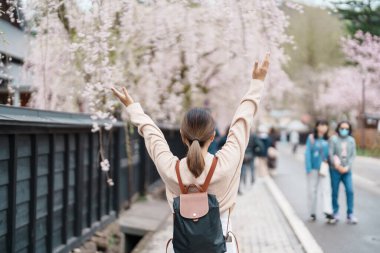 Baharda Sakura Kiraz Çiçeği 'ni gezen bir turist. Mutlu gezginler Samuray Köyü 'ne ya da Kakunodate kasabası Semboku Bölgesi, Akita Bölgesi, Japonya' daki Küçük Kyoto 'ya seyahat eder. Tarihi Eserler ve Tatil