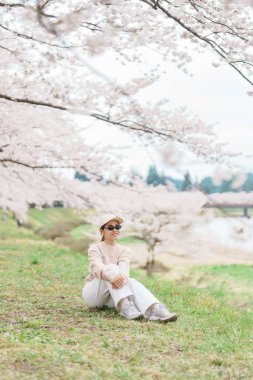 Baharda Sakura Kiraz Çiçeği 'ni gezen bir turist. Mutlu gezginler Japonya 'nın Akita ilinin Semboku ilçesindeki Kakunodate kasabasındaki Hinokinai Nehri nehir kıyısı yakınlarında seyahat ederler. Tarihi Eserler ve Tatil 