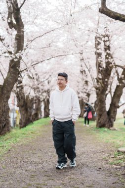 Baharda Sakura Kiraz Çiçeği 'ni gezen bir turist. Mutlu gezginler Japonya 'nın Akita ilinin Semboku ilçesindeki Kakunodate kasabasındaki Hinokinai Nehri nehir kıyısı yakınlarında seyahat ederler. Tarihi Eserler ve Tatil 