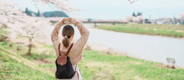 Baharda Sakura Kiraz Çiçeği 'ni gezen bir turist. Mutlu gezginler Japonya 'nın Akita ilinin Semboku ilçesindeki Kakunodate kasabasındaki Hinokinai Nehri nehir kıyısı yakınlarında seyahat ederler. Tarihi Eserler ve Tatil 