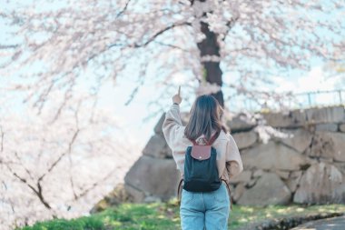 Baharda Morioka Şatosu Harabeleri Parkı 'nda çiçek açan Sakura Kiraz Çiçeği' ni gezen bir turist Iwate Park, Iwate Bölgesi, Japonya 'da mutlu bir gezgin. Ünlü Landmark Seyahat ve Tatil Yeri