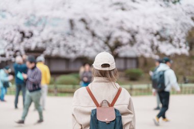 Baharda Sakura Kiraz Çiçeği ile Hirosaki Kalesi Parkı 'nı gezen bir turist, Hirosaki şehri, Aomori, Tohoku, Japonya' ya seyahat ediyor. Japonya 'da çok ünlü. Seyahat ve Tatil varış yeri