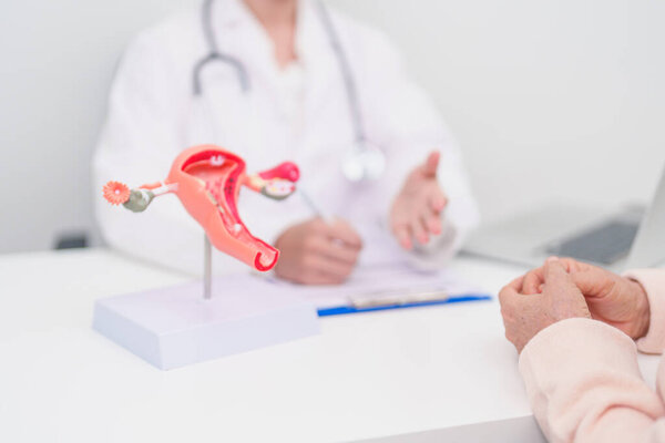 Пациентка консультирует врача по анатомии матки и яичников. Рак яичников и шейки матки, нарушение шейки матки, эндометриоз, гистерэктомия, миома матки, репродуктивная система и концепция беременности