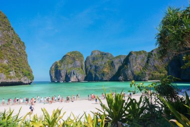 Turistler Tayland 'ın Krabi kentindeki Phi Phi Adası' ndaki Maya Körfezi plajında güzel plajların keyfini çıkarıp geziyorlar. Krabi, Tayland, 21 Şubat 2025