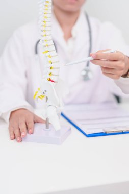 Omurga anatomisi, bel ağrısı, bel ağrısı, Lumbar, Sacral leğen kemiği, boyun, Thoracic, Coccyx, ortopedist, kiropraktik, ofis sendromu için yaşlı hasta danışmanlığı