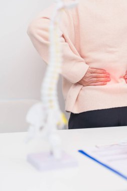 Omurga anatomisi, bel ağrısı, bel ağrısı, Lumbar, Sacral leğen kemiği, boyun, Thoracic, Coccyx, ortopedist, kiropraktik, ofis sendromu için yaşlı hasta danışmanlığı