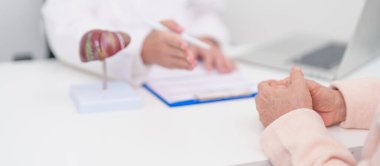 Karaciğer anatomisi olan bir doktor. Karaciğer kanseri, tümör, sarılık, viral hepatit, siroz, başarısızlık, büyümüş, Hepatik Ensefalopati, Ascites Aids 