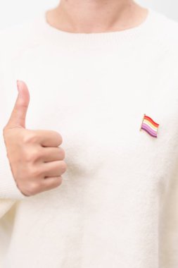 Uluslararası Lezbiyen Ekim Günü, Lezbiyen Görünürlüğü Nisan Günü ve Mutlu Gururlu Haziran ayı ve LGBTQIA 'nın LGBTQ, Evlilik Eşitliği Kanunu, Panseksüel, Yarı cinsiyet ve transseksüel broşu 