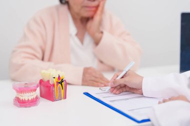 Yaşlı Hasta Diş Hastalıkları Danışmanı, Kıdemli Sağlık Sağlığı Teşhisi. Ağız çürüğü için anatomi diş modeli, tartarı kazıyın. Mart Sağlığı, Diş Hekimleri Günü, Takma Diş Konsepti 