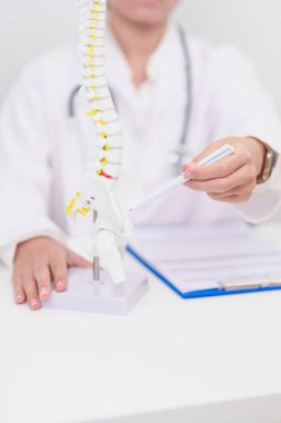 Omurga anatomisi, bel ağrısı, bel ağrısı, Lumbar, Sacral leğen kemiği, boyun, Thoracic, Coccyx, ortopedist, kiropraktik, ofis sendromu için yaşlı hasta danışmanlığı