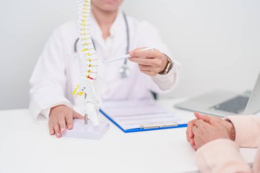 Omurga anatomisi, bel ağrısı, bel ağrısı, Lumbar, Sacral leğen kemiği, boyun, Thoracic, Coccyx, ortopedist, kiropraktik, ofis sendromu için yaşlı hasta danışmanlığı