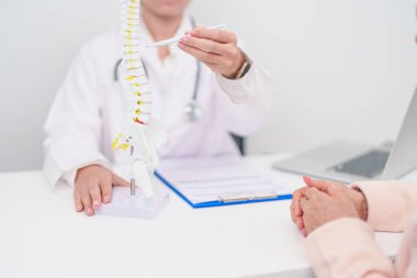 Omurga anatomisi, bel ağrısı, bel ağrısı, Lumbar, Sacral leğen kemiği, boyun, Thoracic, Coccyx, ortopedist, kiropraktik, ofis sendromu için yaşlı hasta danışmanlığı