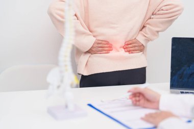 Omurga anatomisi, bel ağrısı, bel ağrısı, Lumbar, Sacral leğen kemiği, boyun, Thoracic, Coccyx, ortopedist, kiropraktik, ofis sendromu için yaşlı hasta danışmanlığı