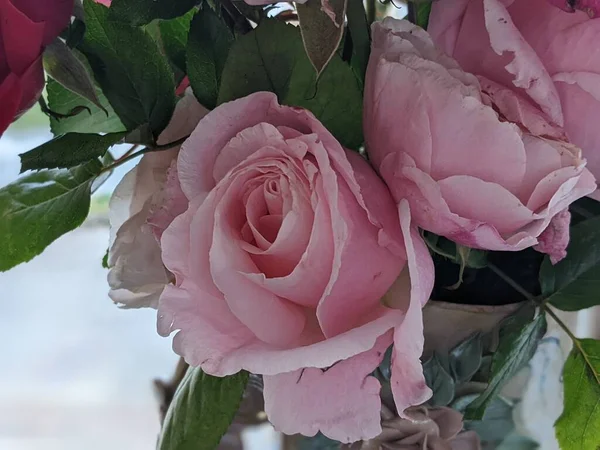 Ein Großer Strauß Rosa Rosen Aus Nächster Nähe — Stockfoto