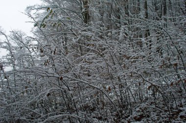 Kar fırtınası sırasında dağlarda soğuk ve karlı kış yolu.