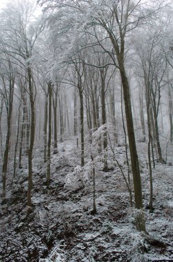Kar fırtınası sırasında dağlarda soğuk ve karlı kış yolu.