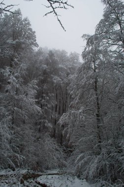 Kar fırtınası sırasında dağlarda soğuk ve karlı kış yolu.