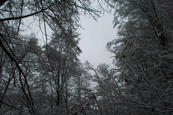 Kalte Und Verschneite Winterstraße Den Bergen Bei Schneesturm — Stockfoto