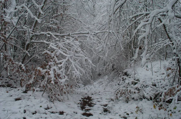 Kall Och Snöig Vinterväg Fjällen Snöstorm — Stockfoto