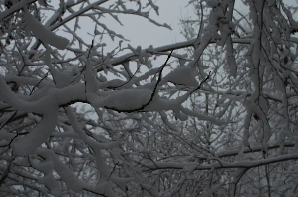 吹雪の中で山の中で寒さと雪の冬の道 — ストック写真