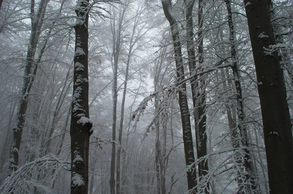 Camino Invierno Frío Nevado Las Montañas Durante Tormenta Nieve —  Fotos de Stock
