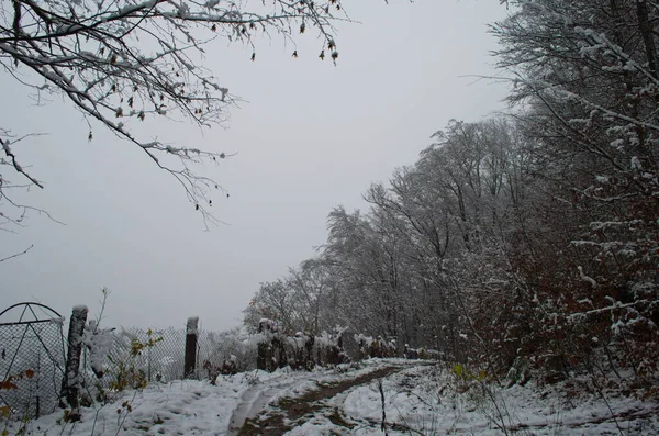 Estrada Inverno Fria Nevada Nas Montanhas Durante Tempestade Neve — Fotografia de Stock