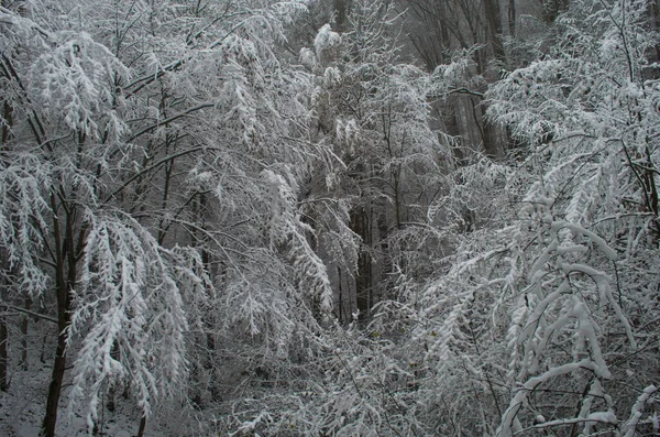 Холодная Снежная Зимняя Дорога Горах Время Снежной Бури — стоковое фото