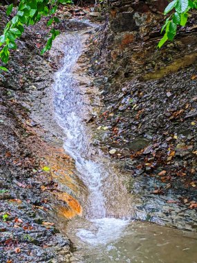 Water stream of waterfall cascade in nature forest landscape