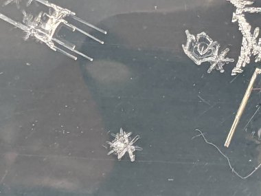 Unique Pattern of the Frozen River Running Through a Park