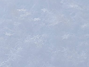 Unique Pattern of the Frozen River Running Through a Park