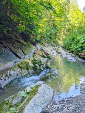 Ormanda temiz suyu olan bir dağ şelalesi..