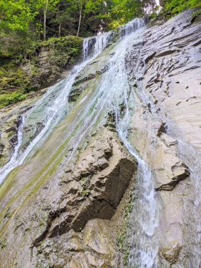 Ormanda temiz suyu olan bir dağ şelalesi..